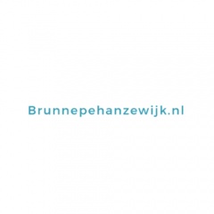Wijkvereniging Brunnepe-Hanzewijk | Wijkcentrum Reijersdam