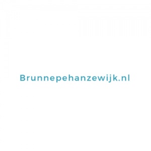 Wijkvereniging Brunnepe-Hanzewijk | Wijkcentrum Reijersdam
